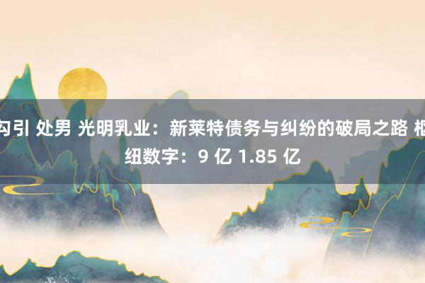 勾引 处男 光明乳业：新莱特债务与纠纷的破局之路 枢纽数字：9 亿 1.85 亿