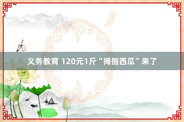 义务教育 120元1斤“拇指西瓜”来了