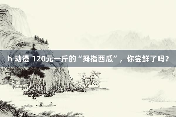 h 动漫 120元一斤的“拇指西瓜”，你尝鲜了吗？