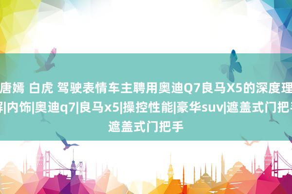 唐嫣 白虎 驾驶表情车主聘用奥迪Q7良马X5的深度理解|内饰|奥迪q7|良马x5|操控性能|豪华suv|遮盖式门把手